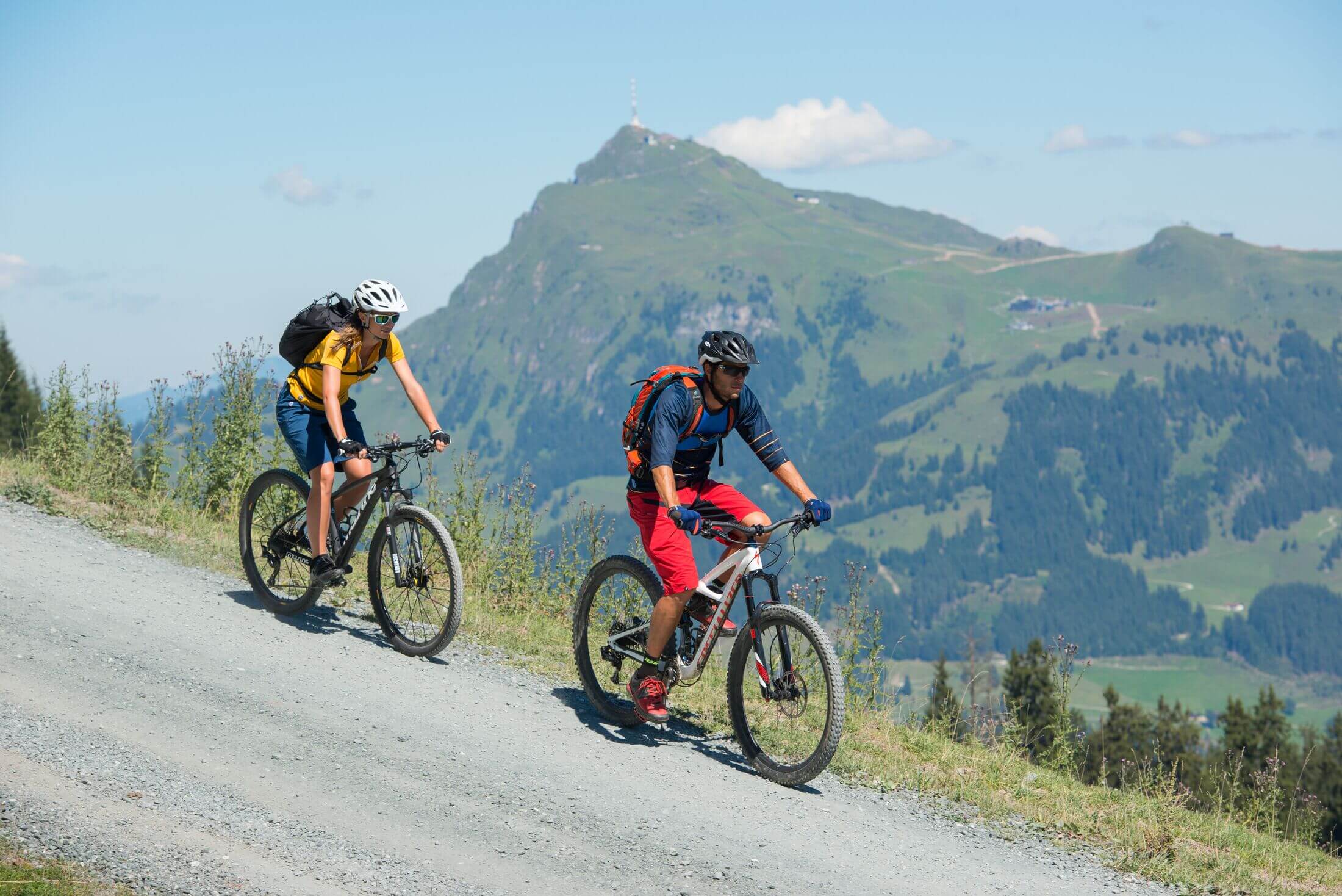 Mountain E-Bike